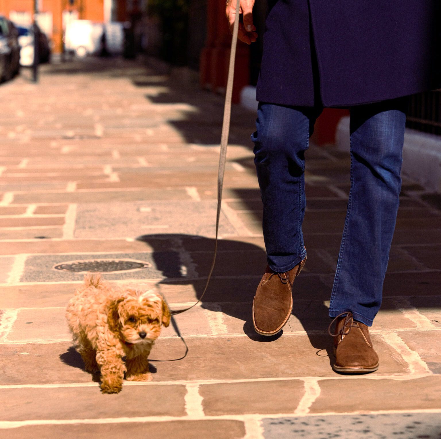A small fluffy dog walks down the pavement alongside a man wearing loafers and jeans.